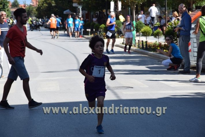 alexandriamou_1_alexandrinos_dromos057